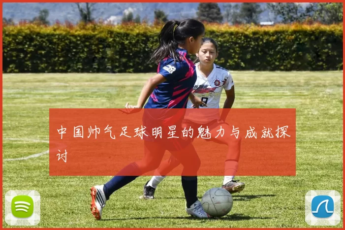 中国帅气足球明星的魅力与成就探讨