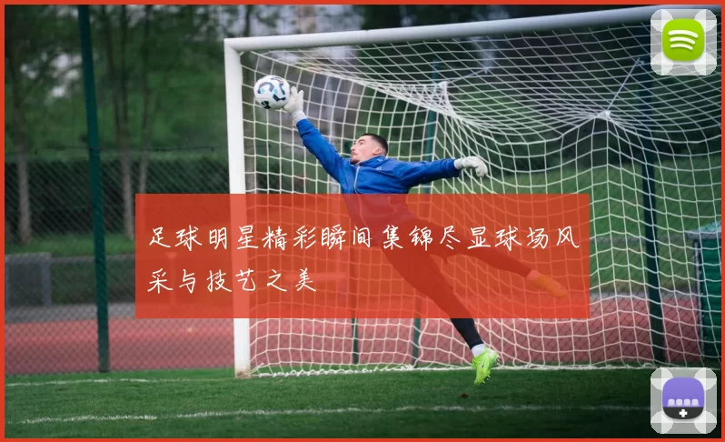 足球明星精彩瞬间集锦尽显球场风采与技艺之美