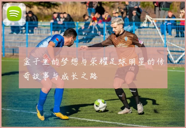 盒子里的梦想与荣耀足球明星的传奇故事与成长之路