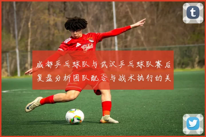 成都乒乓球队与武汉乒乓球队赛后复盘分析团队配合与战术执行的关键因素