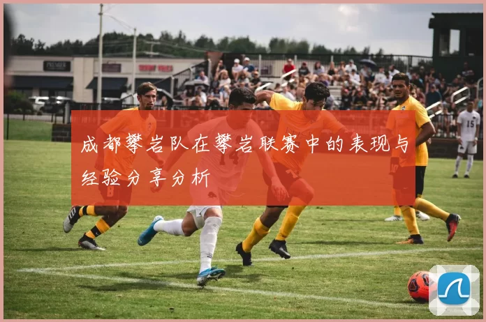 成都攀岩队在攀岩联赛中的表现与经验分享分析