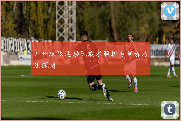 广州极限运动队战术解析与训练方法探讨