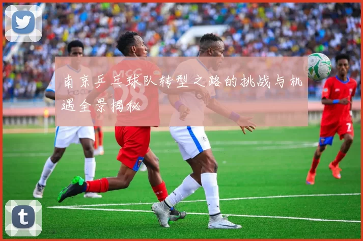 南京乒乓球队转型之路的挑战与机遇全景揭秘