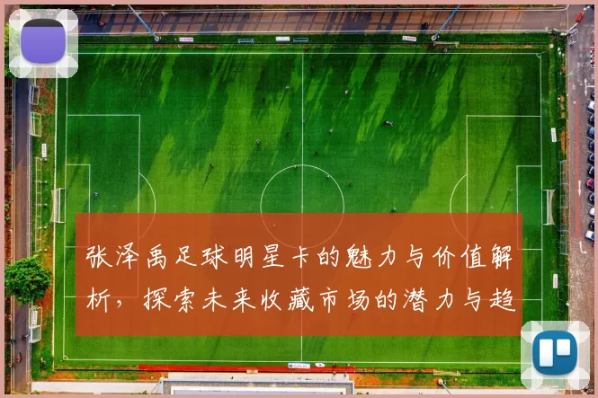 张泽禹足球明星卡的魅力与价值解析，探索未来收藏市场的潜力与趋势