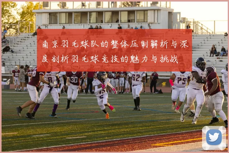 南京羽毛球队的整体压制解析与深度剖析羽毛球竞技的魅力与挑战