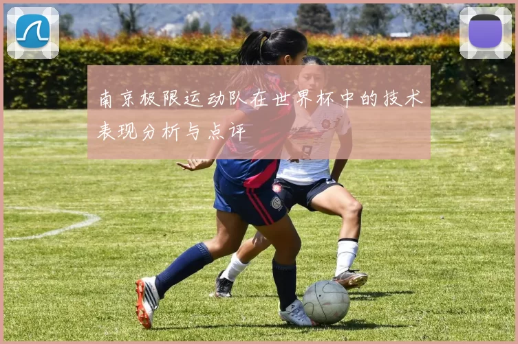 南京极限运动队在世界杯中的技术表现分析与点评
