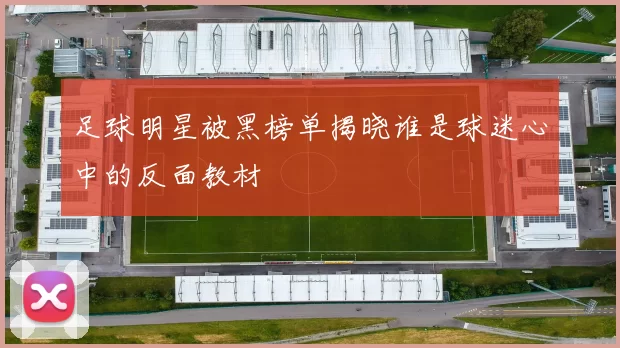 足球明星被黑榜单揭晓谁是球迷心中的反面教材