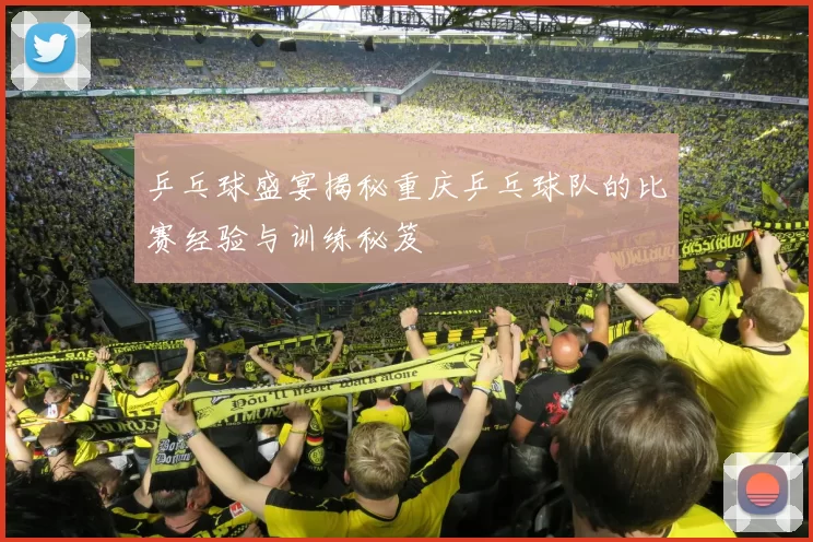 乒乓球盛宴揭秘重庆乒乓球队的比赛经验与训练秘笈