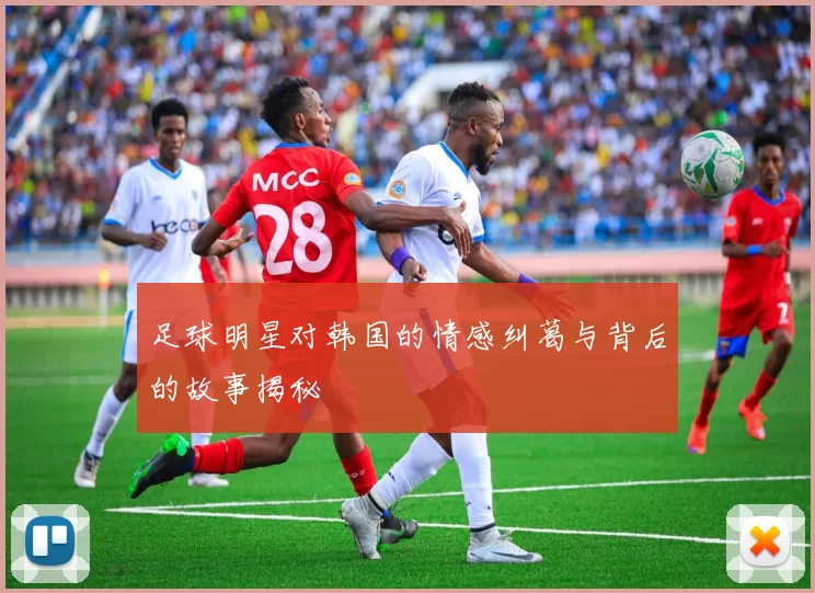 足球明星对韩国的情感纠葛与背后的故事揭秘
