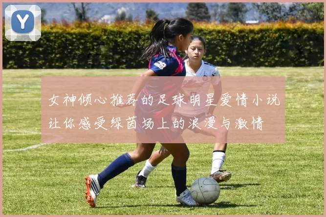 女神倾心推荐的足球明星爱情小说让你感受绿茵场上的浪漫与激情