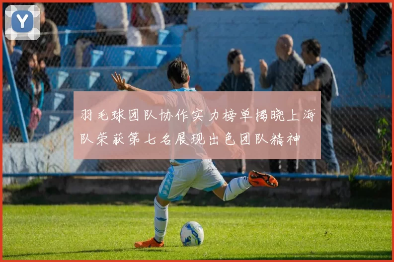 羽毛球团队协作实力榜单揭晓上海队荣获第七名展现出色团队精神