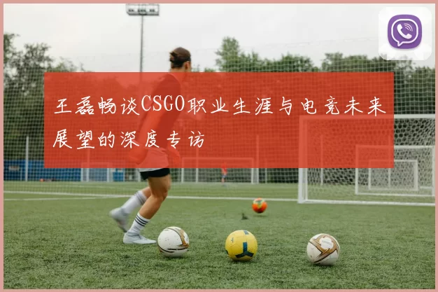 王磊畅谈CSGO职业生涯与电竞未来展望的深度专访