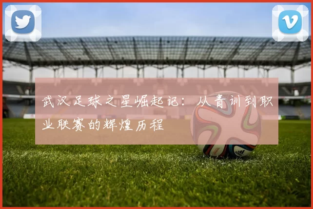 武汉足球之星崛起记：从青训到职业联赛的辉煌历程