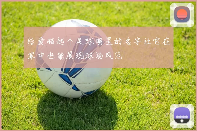 给爱猫起个足球明星的名字让它在家中也能展现球场风范
