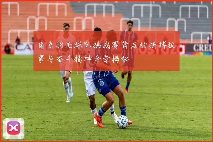 南京羽毛球队挑战赛背后的拼搏故事与奋斗精神全景揭秘