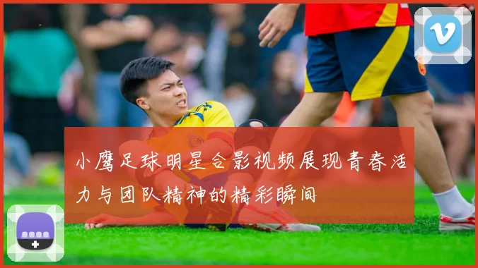 小鹰足球明星合影视频展现青春活力与团队精神的精彩瞬间