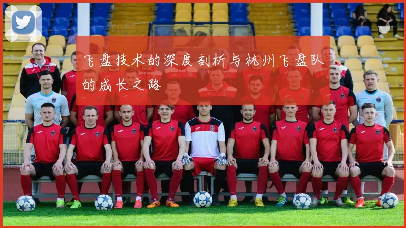 飞盘技术的深度剖析与杭州飞盘队的成长之路