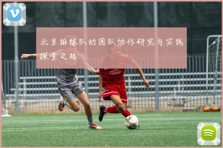 北京排球队的团队协作研究与实践探索之路