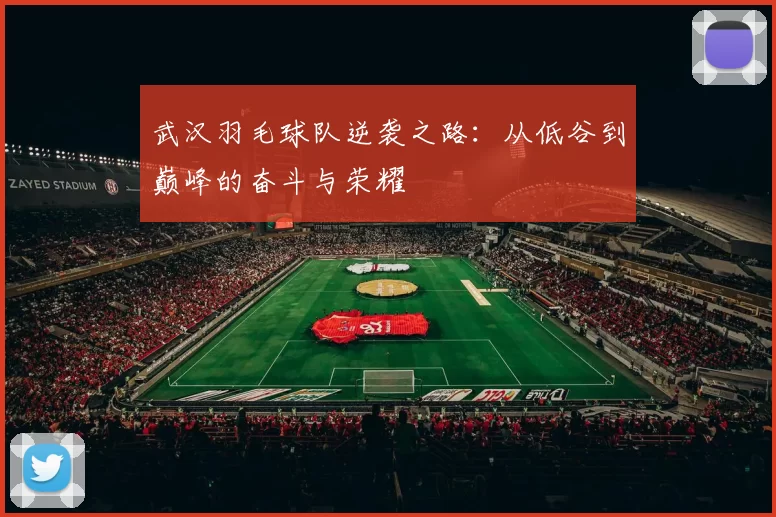 武汉羽毛球队逆袭之路：从低谷到巅峰的奋斗与荣耀