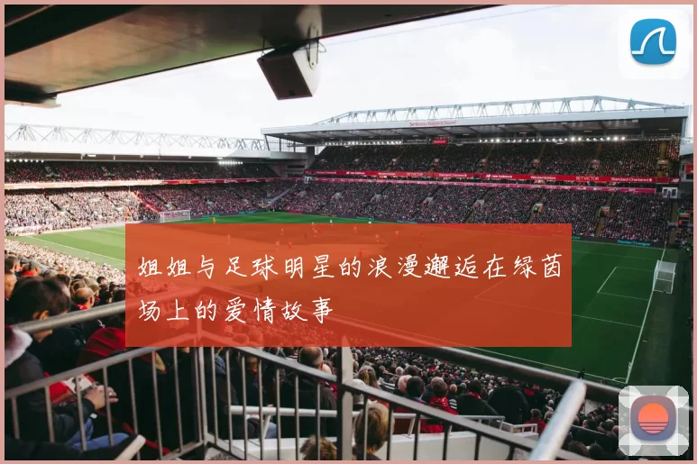 姐姐与足球明星的浪漫邂逅在绿茵场上的爱情故事