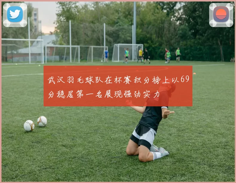 武汉羽毛球队在杯赛积分榜上以69分稳居第一名展现强劲实力