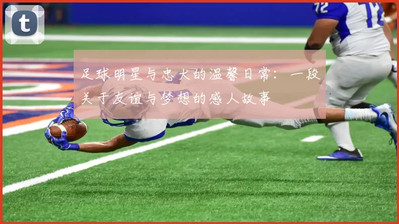 足球明星与忠犬的温馨日常：一段关于友谊与梦想的感人故事