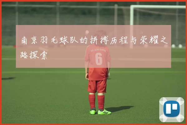 南京羽毛球队的拼搏历程与荣耀之路探索
