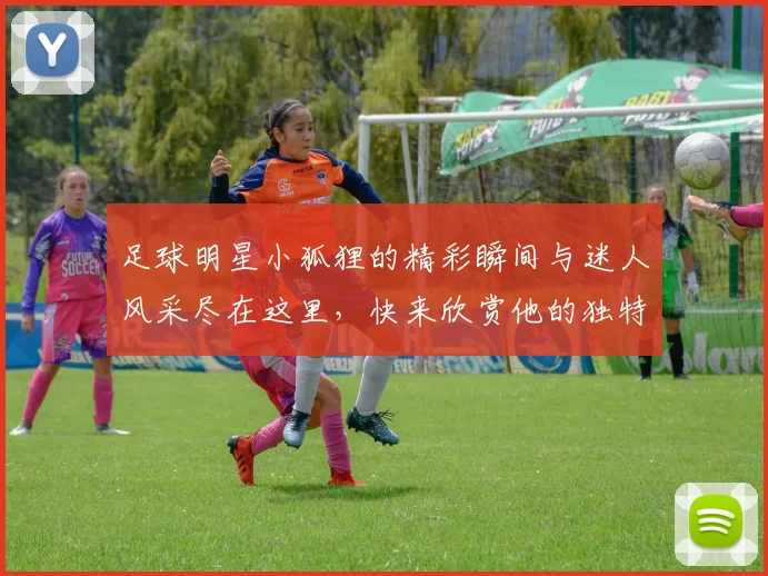 足球明星小狐狸的精彩瞬间与迷人风采尽在这里，快来欣赏他的独特魅力与精彩表现