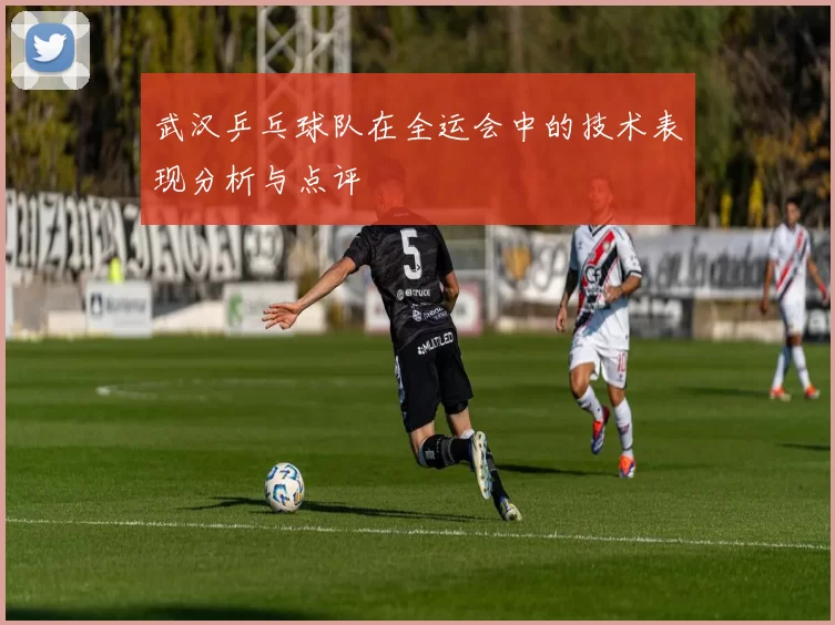 武汉乒乓球队在全运会中的技术表现分析与点评