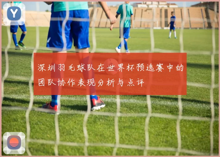 深圳羽毛球队在世界杯预选赛中的团队协作表现分析与点评